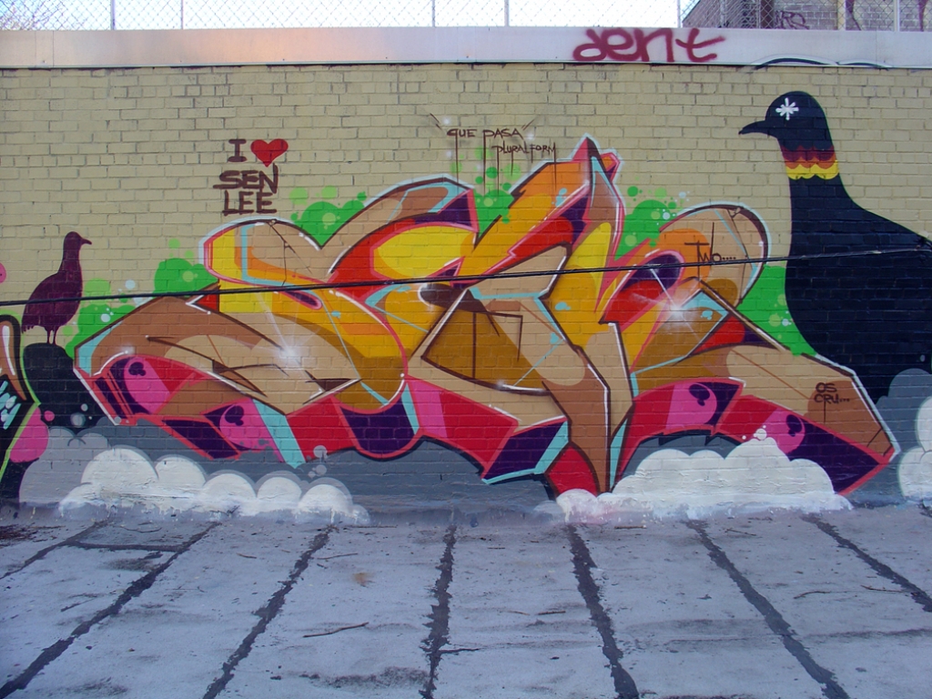 DSC03201.jpg